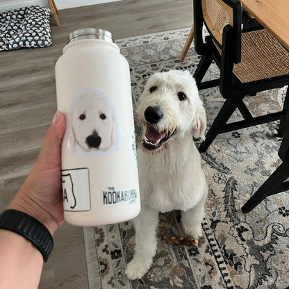 Turn Photos into Hand Drawn Stickers
